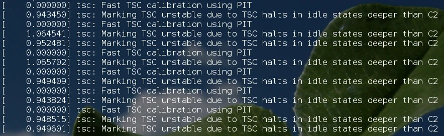 Fast TSC calibration failed.