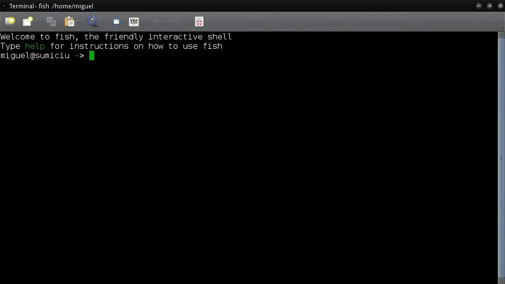 A new terminal with fish shell with the default welcome message.
