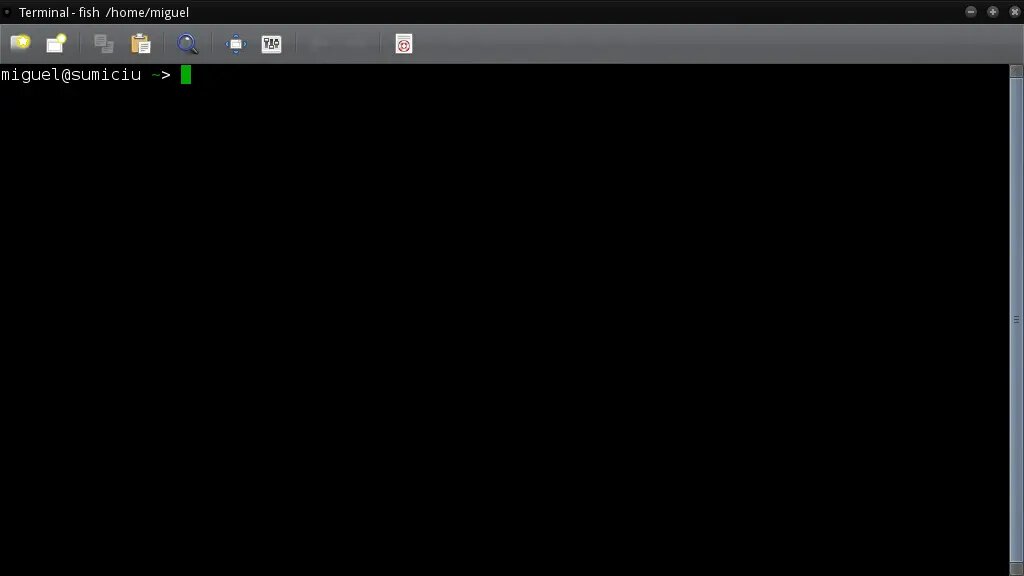 A new terminal with fish shell without the default welcome message.